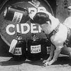  سریال تلویزیونی افسانه زدایان به کارگردانی 