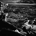  فیلم سینمایی چه کسی از ویرجینیا ولف میترسد؟ با حضور Elizabeth Taylor و Mike Nichols