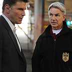  سریال تلویزیونی ان سی آی اس: سرویس تحقیقات جنایی نیروی دریایی با حضور مارک هارمون