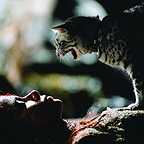  فیلم سینمایی زن گربه ای با حضور هلی بری