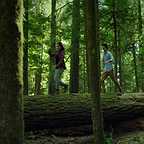  فیلم سینمایی Into the Forest با حضور مکس مینگلا و الن پیج