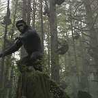  فیلم سینمایی طلوع سیاره میمون ها به کارگردانی Matt Reeves