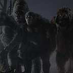  فیلم سینمایی طلوع سیاره میمون ها به کارگردانی Matt Reeves