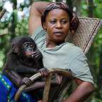  فیلم سینمایی Bonobos: Back to the Wild به کارگردانی 