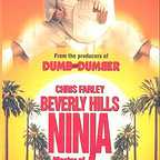  فیلم سینمایی Beverly Hills Ninja به کارگردانی Dennis Dugan