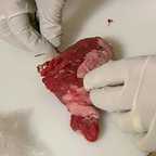  سریال تلویزیونی افسانه زدایان به کارگردانی 