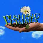 سریال تلویزیونی Pushing Daisies به کارگردانی 