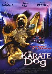 سگ کاراته باز