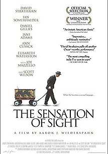 The Sensation of Sight