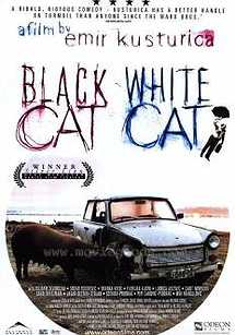 گربه سیاه, گربه سفید