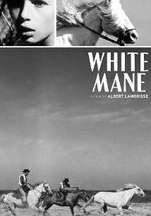 White Mane: The Wild Horse