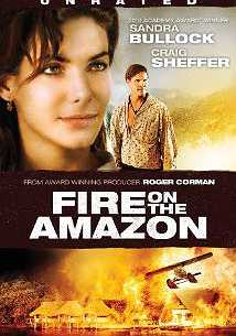 Fire on the Amazon