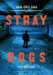 Stray Dogs