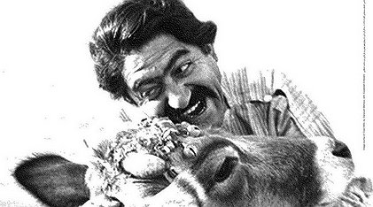 اکران زودتر  چند فیلم برای رسانه‌‌ای‌ها