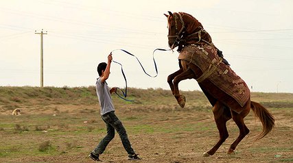 «آتلان» برنده نشان بلورین جشنواره فیلم‌های ورزشی «میلان» ایتالیا شد