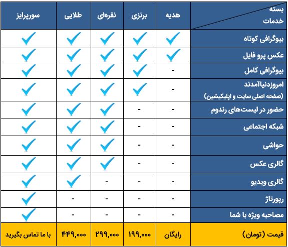 منظوم حرفه‌ای برای هنرمندان